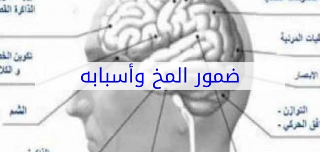 معلومات مهمة عن ضمور المخ بريم نيوز