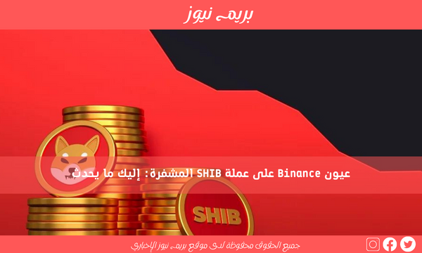 عيون Binance على عملة SHIB المشفرة: إليك ما يحدث