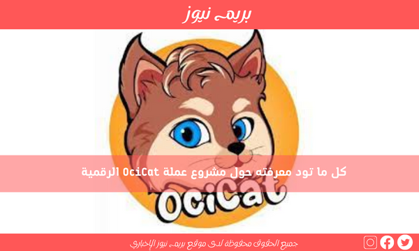 كل ما تود معرفته حول مشروع عملة OciCat الرقمية